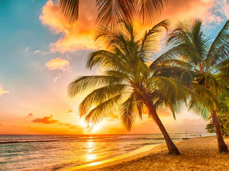 Caribbean Fly Cruise Deals 2025, 2025 & 2026 P&O Cruises