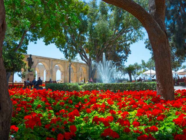 Valletta, Malta - June 2021. Blooming geranium in Barraka Gardens, Malta. Geranium blooms close-up. Blooming geraniums in pots. A lot of blooming geraniums.; Shutterstock ID 1989645050; project: x; job: y; client: ; other: 