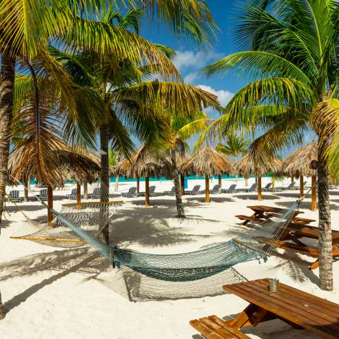 Award-worthy destinations: Your winners