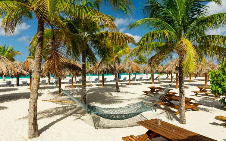 Hammocks and sunbeds under the palm trees on exotic Barbados beach in the Carribean; Shutterstock ID 1131084719; Project: Adobe