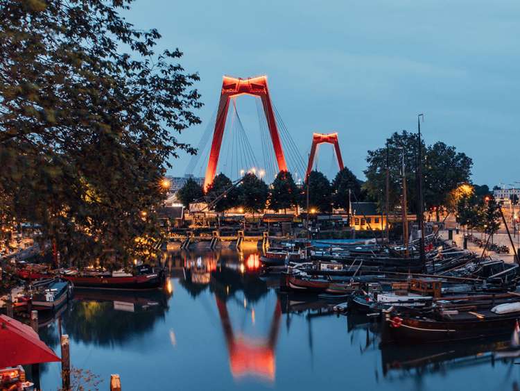 Image of a little harbour with a big bridge in Rotterdam 