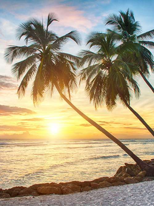 Barbados Cruise Holidays 2023, 2025 & 2025 P&O Cruises