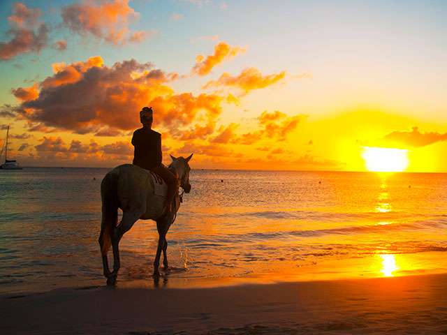 Girl riding a horse in Barbados during sunset