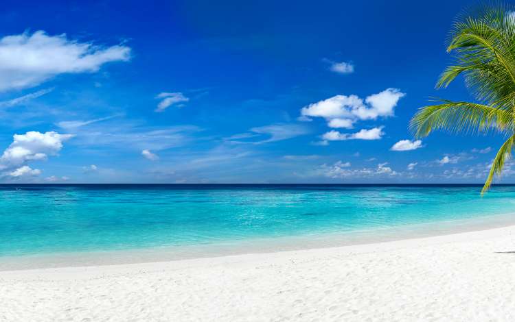 Caribbean beach