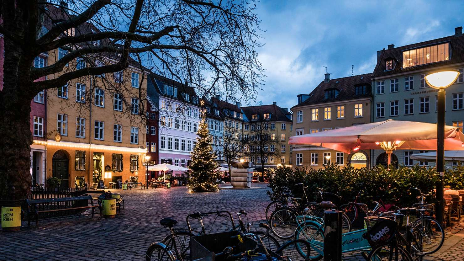 Christmas tree in Copenhagen town centre