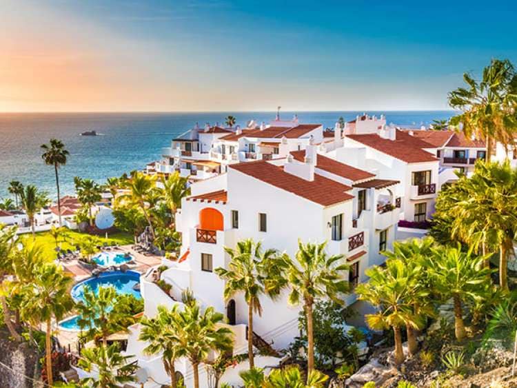 Villas and palm trees in Tenerife