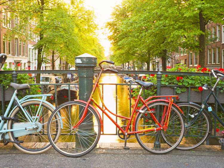 Bikes tied up on bridge over the canal in Amsterdam