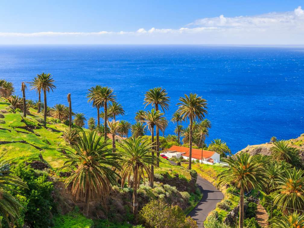 Palm trees on La Gomera, Canary Islands