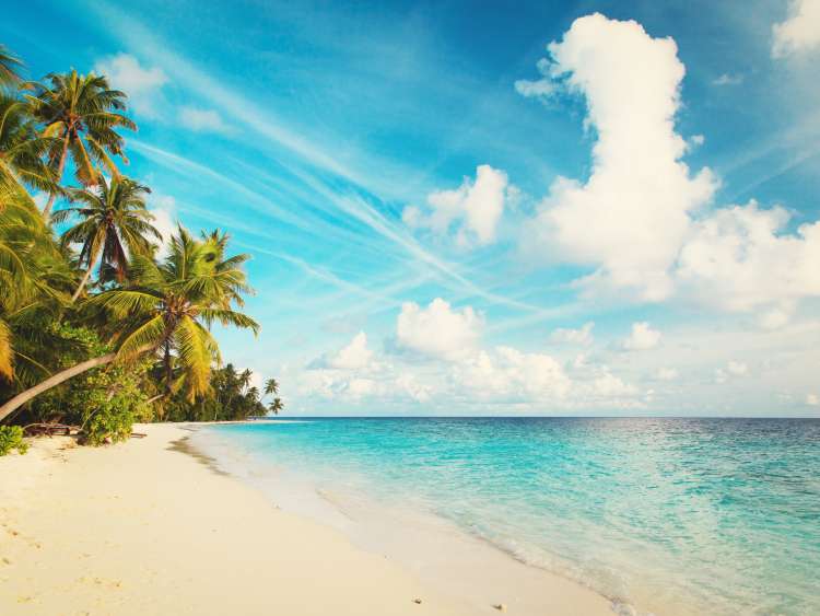 Caribbean FlyCruise Holidays 2025, 2025 & 2026 P&O Cruises