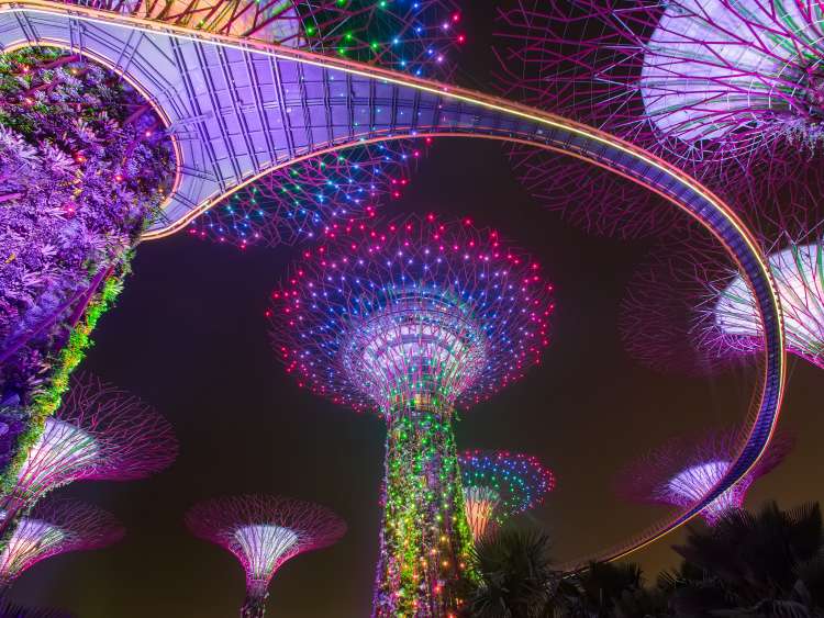 Singapore super trees at night
