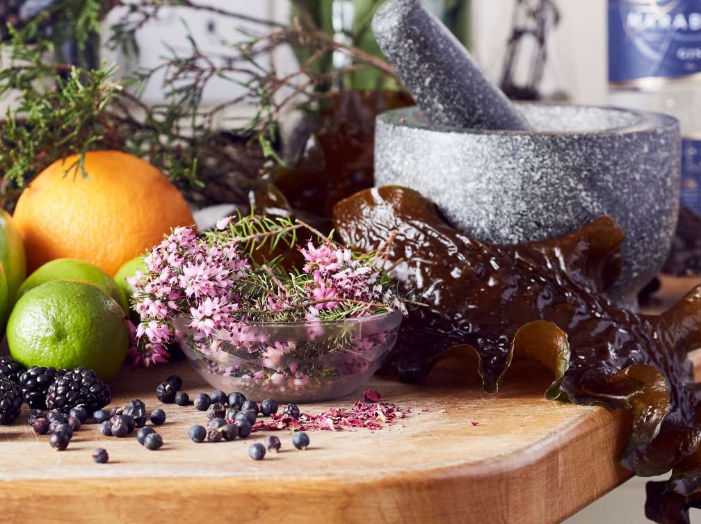 Photo of fruits and mixer in front of bottles of Marabelle Gin