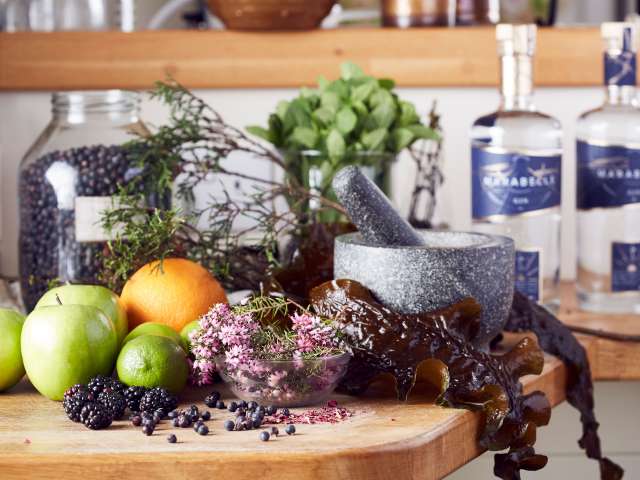 Photo of fruits and mixer in front of bottles of Marabelle Gin