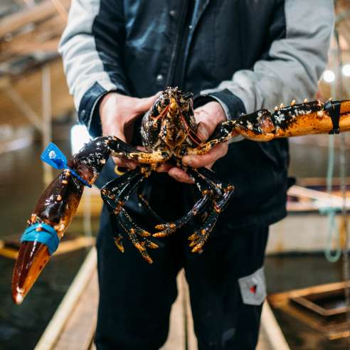 A Food Heroes adventure in Stavanger