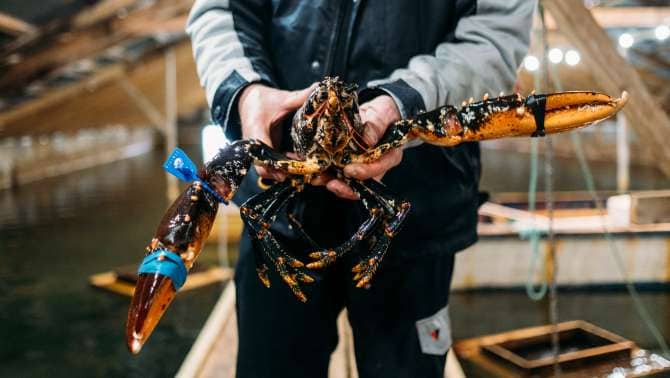 A Food Heroes adventure in Stavanger