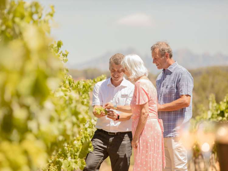 Couple enjoying fruit picking on shore excursion