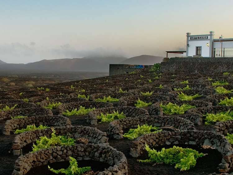 Bodega La Geria is a family run winery in Lanzarote
