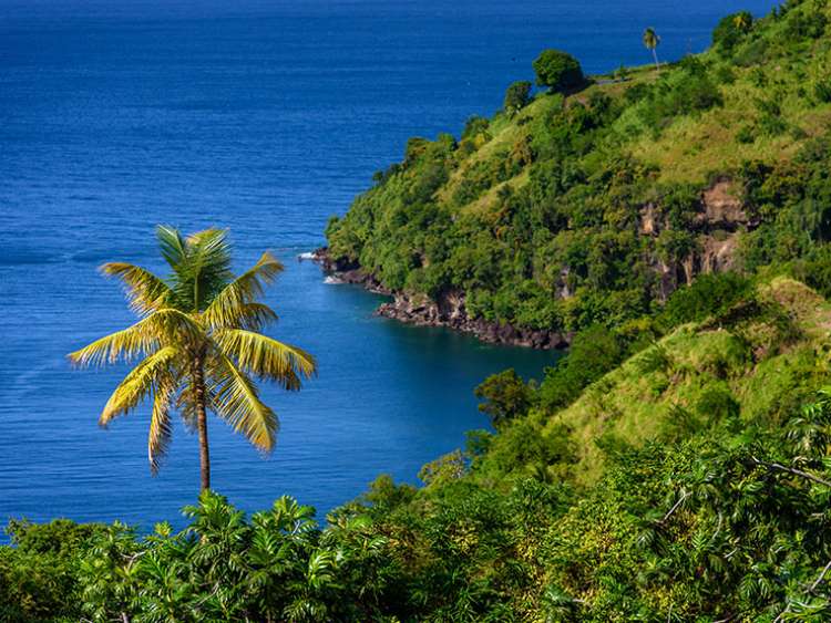 Saint Vincent island