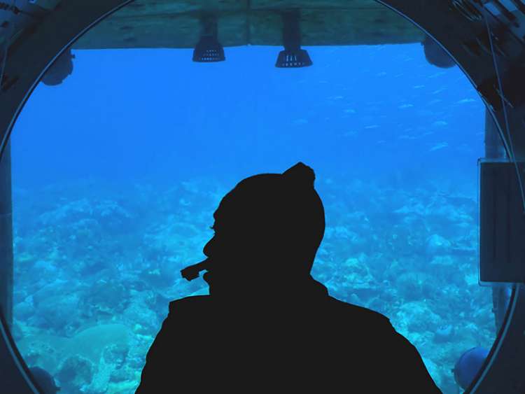 Man looking out of the window in Atlantis Submarine in Barbados