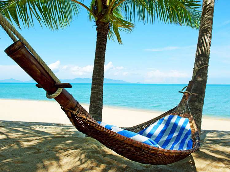 Wicker hammock on Caribbean beach