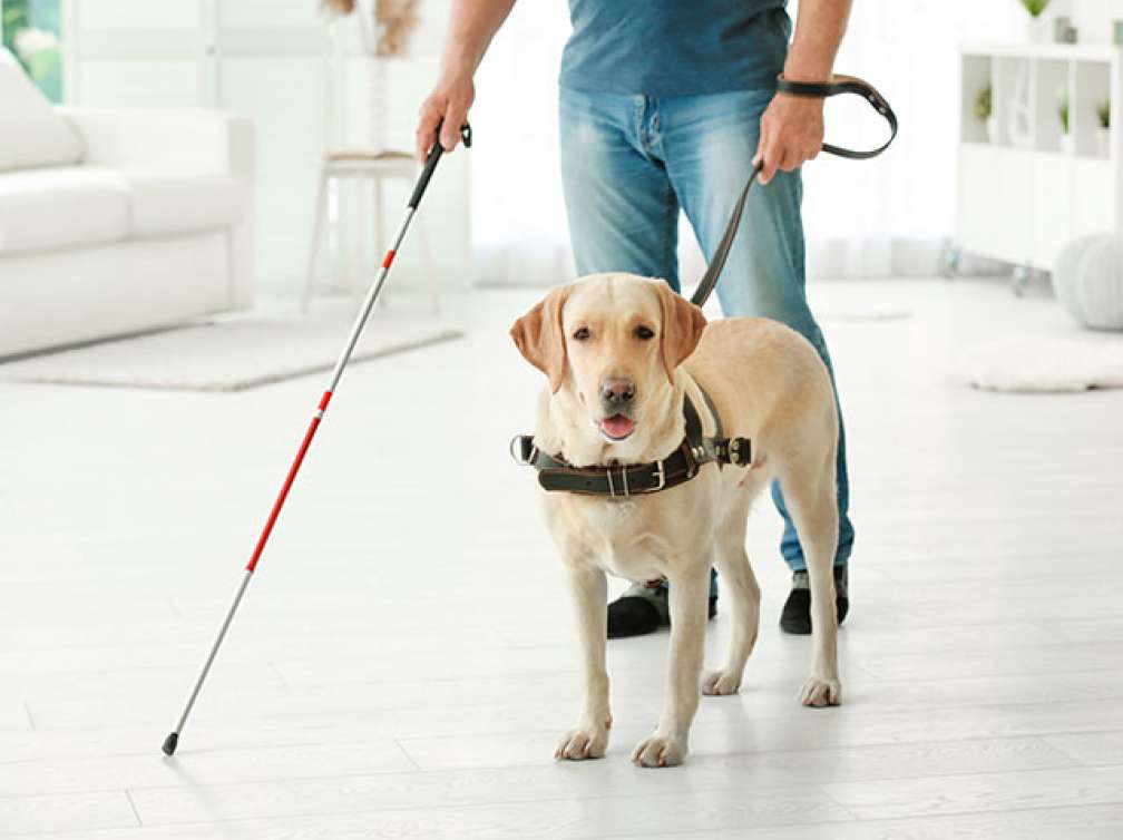 Image of blind man using cane and a guide dog