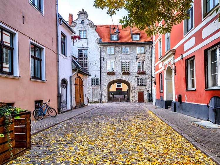 fallen leaves on streets in Riga