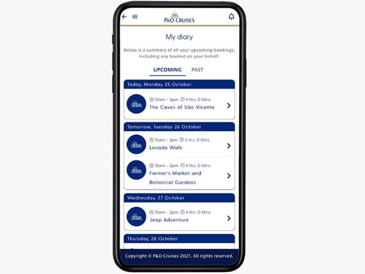 example of diary page shown on phone 