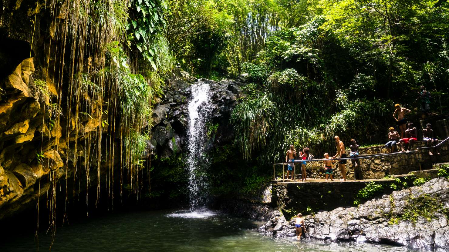 A group of people in front of the Annandale Falls, Grenada, West Indies