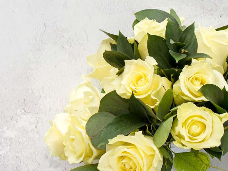 Bouquet of white roses