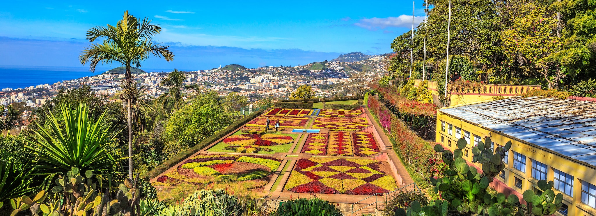 {"metadata_en_GB":{"alt-text":"Beautiful panorama of the famous botanical garden in Funchal, Madeira island, Portugal; Shutterstock ID 1055142791; Project: Shorex"}}
