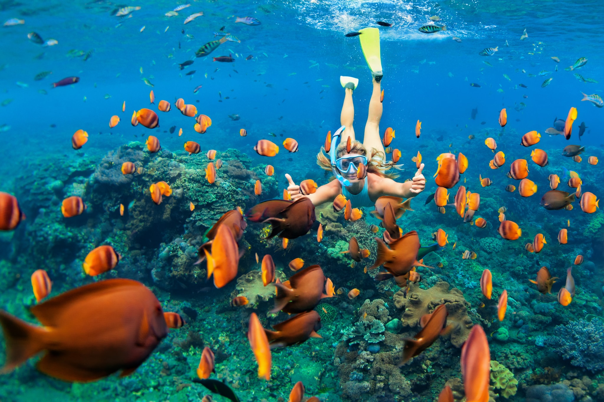 Happy family - girl in snorkeling mask dive underwater with tropical fishes in coral reef sea pool. Travel lifestyle, water sport outdoor adventure, swimming lessons on summer beach holiday with child; Shutterstock ID 648353362; Invoice Number: -