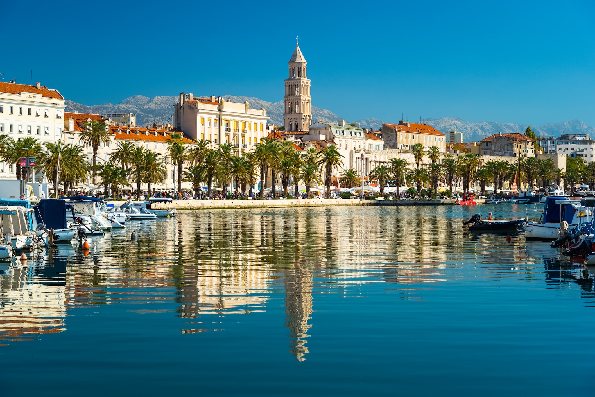 Split is a town on Croatiaâs Dalmatian Coast, is known for its beaches and the fortresslike complex at its center, Diocletian's Palace, erected by the Roman emperor in the 4th century. In this picture, the Bell Tower and Green Market were reflected in the water. Tourists wandering around the colorful Green Market, which brims with stalls selling everything from fruits to flowers and local products.