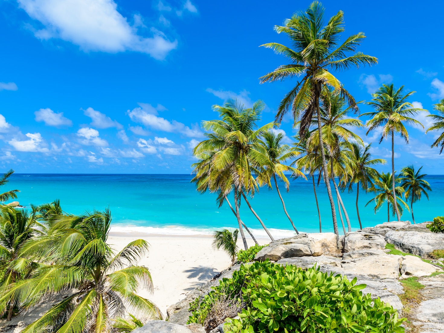 {"metadata_en_GB":{"alt-text":"Beach in the port of Bridgetown, Barbados"},"metadata_en_AU":{"alt-text":"Beach in the port of Bridgetown, Barbados"}}