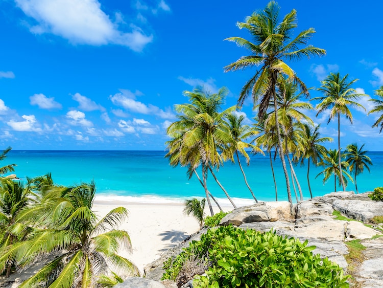 {"metadata_en_GB":{"alt-text":"Beach in the port of Bridgetown, Barbados"},"metadata_en_AU":{"alt-text":"Beach in the port of Bridgetown, Barbados"}}