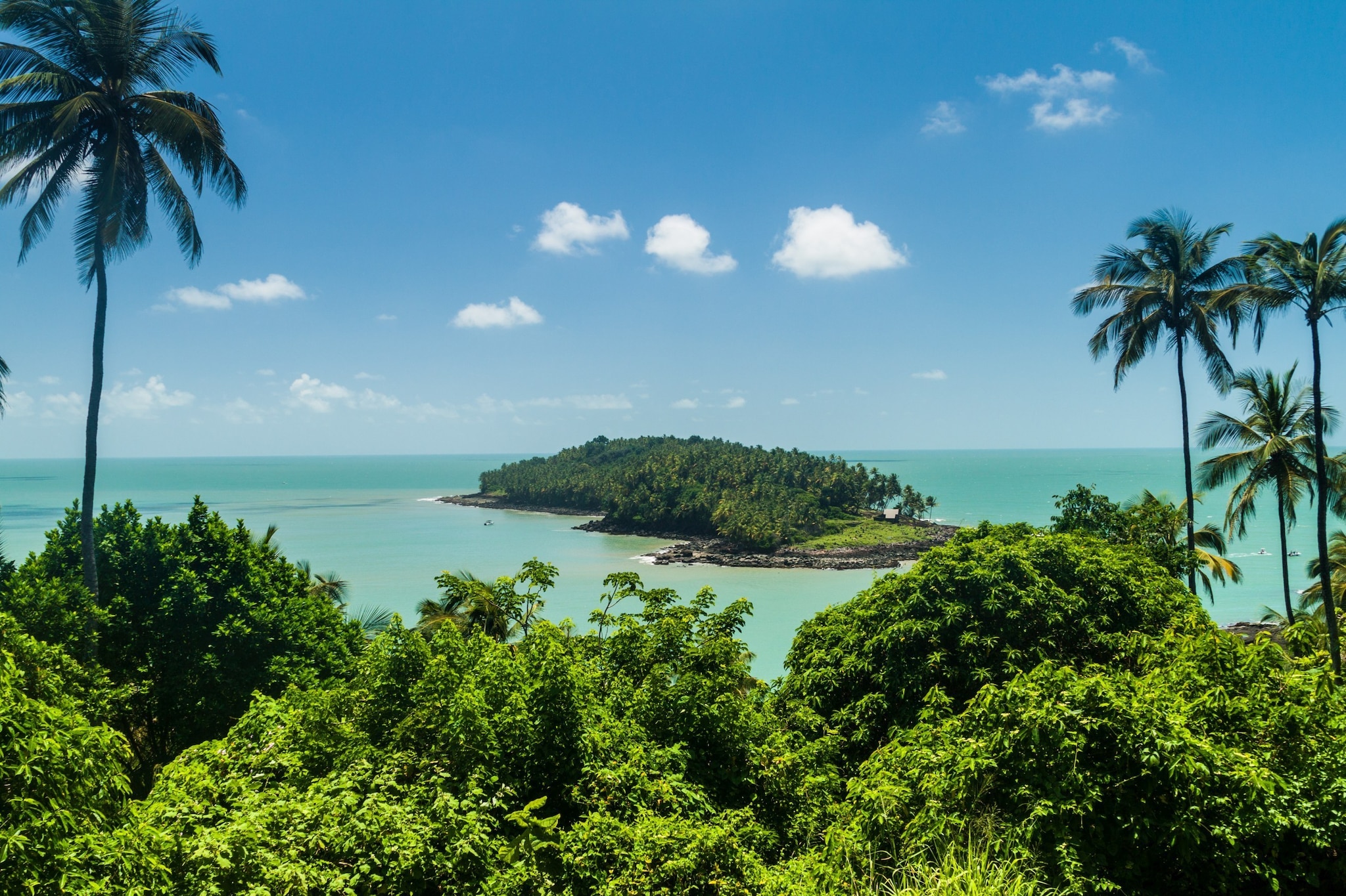 {"metadata_en_GB":{"alt-text":"Island in distance surrounded by sea and palm trees "},"metadata_en_AU":{"alt-text":"Island in distance surrounded by sea and palm trees "}}