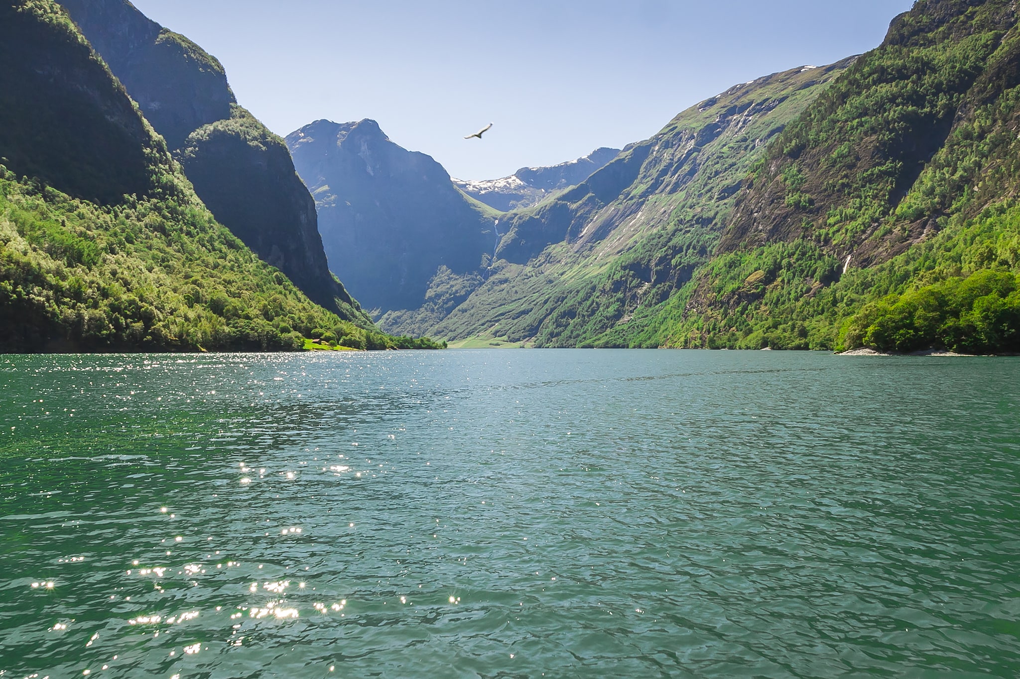 {"metadata_en_GB":{"alt-text":"Sognefjord in the port of Flam, Norway"},"metadata_en_AU":{"alt-text":"Sognefjord in the port of Flam, Norway"}}