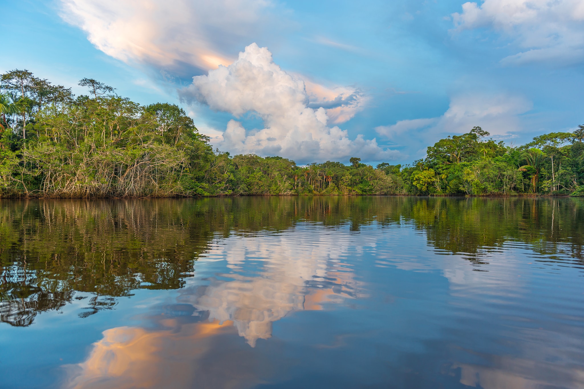 {"metadata_en_GB":{"alt-text":"Sunset along the banks of the Amazon river during a boat trip with a reflection of the rainforest. The tributaries of the Amazon traverse the countries of Guyana, Ecuador, Peru, Brazil, Colombia, Venezuela and Bolivia."}}