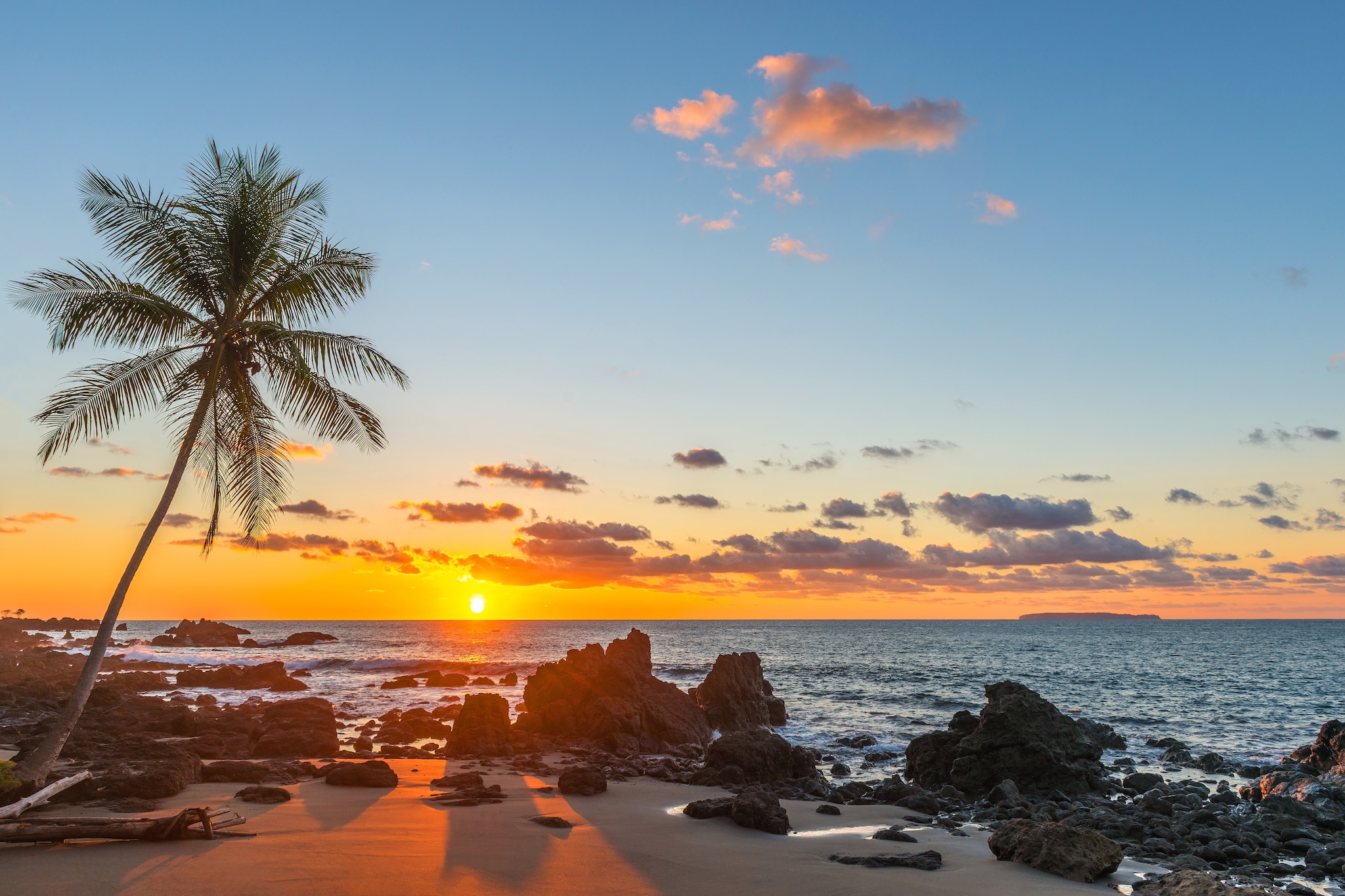 {"metadata_en_GB":{"alt-text":"Silhouette of a palm tree and a sand beach inside Corcovado National Park with a view over the Pacific Ocean at sunset, Osa Peninsula, Costa Rica, Central America.; Shutterstock ID 1044485158; Invoice Number: -"}}
