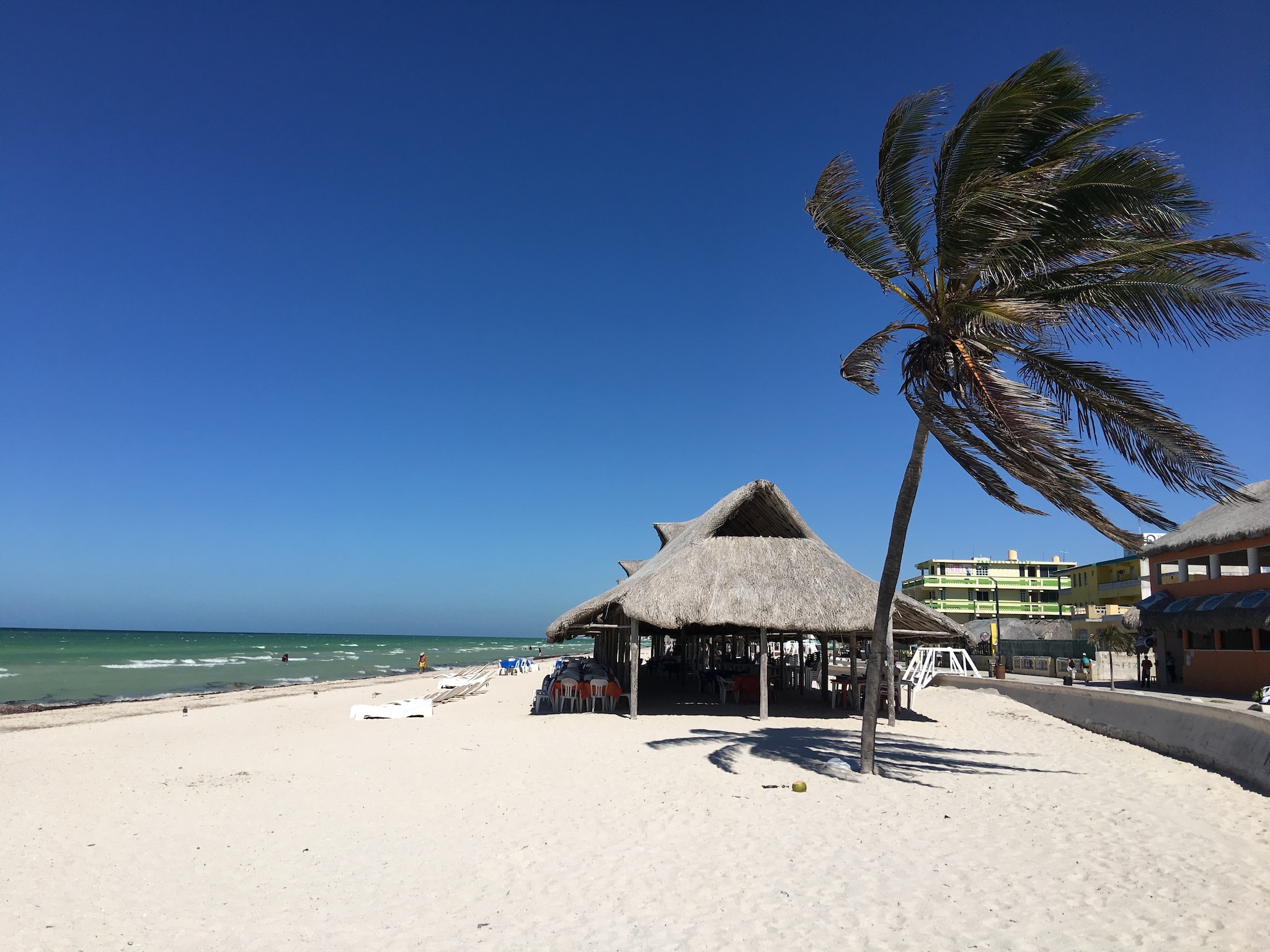 {"metadata_en_GB":{"alt-text":"Palm tree and restaurant on a beach by the sea "},"metadata_en_AU":{"alt-text":"Palm tree and restaurant on a beach by the sea "}}
