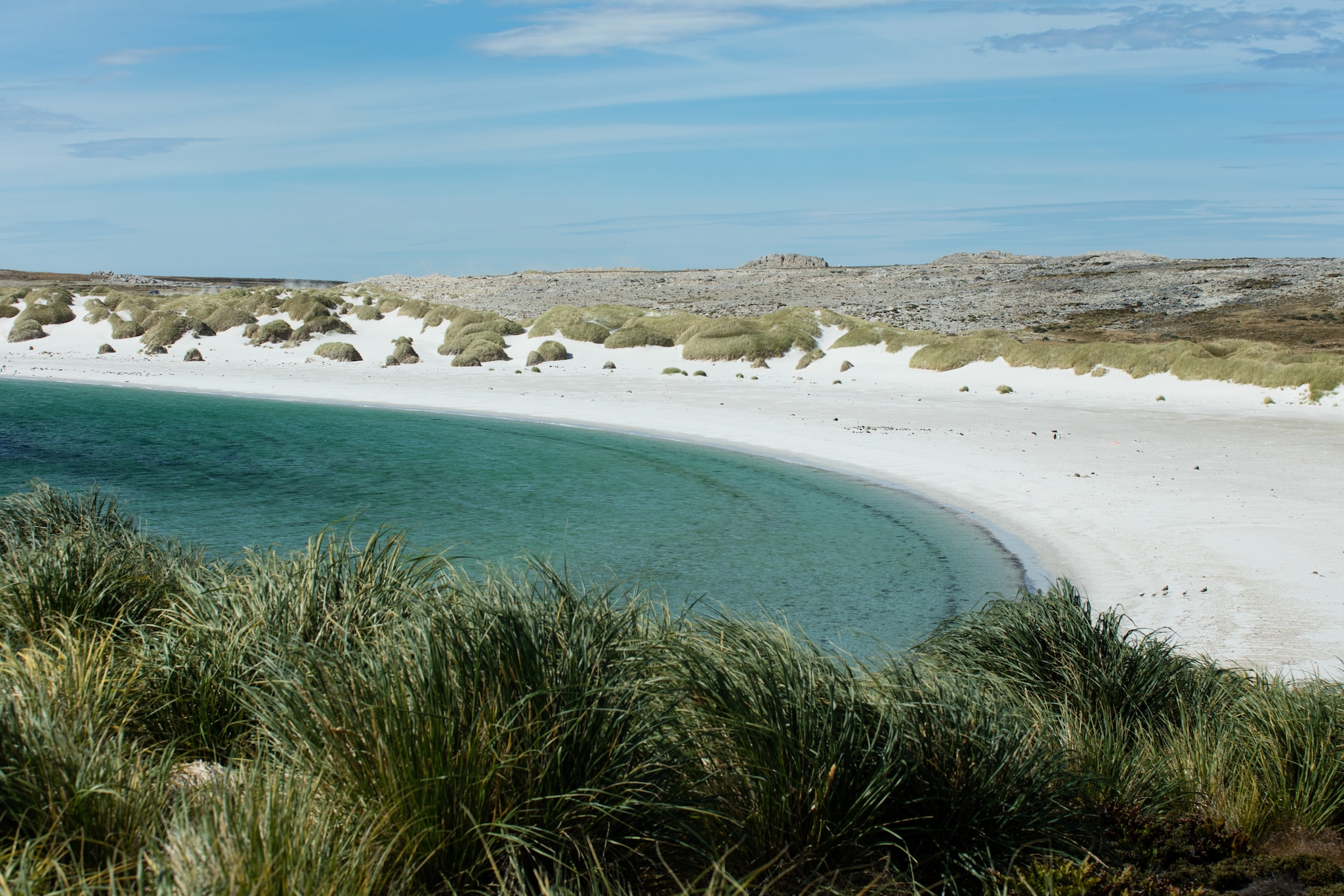 {"metadata_en_GB":{"alt-text":"Beach by the sea "},"metadata_en_AU":{"alt-text":"Beach by the sea "}}