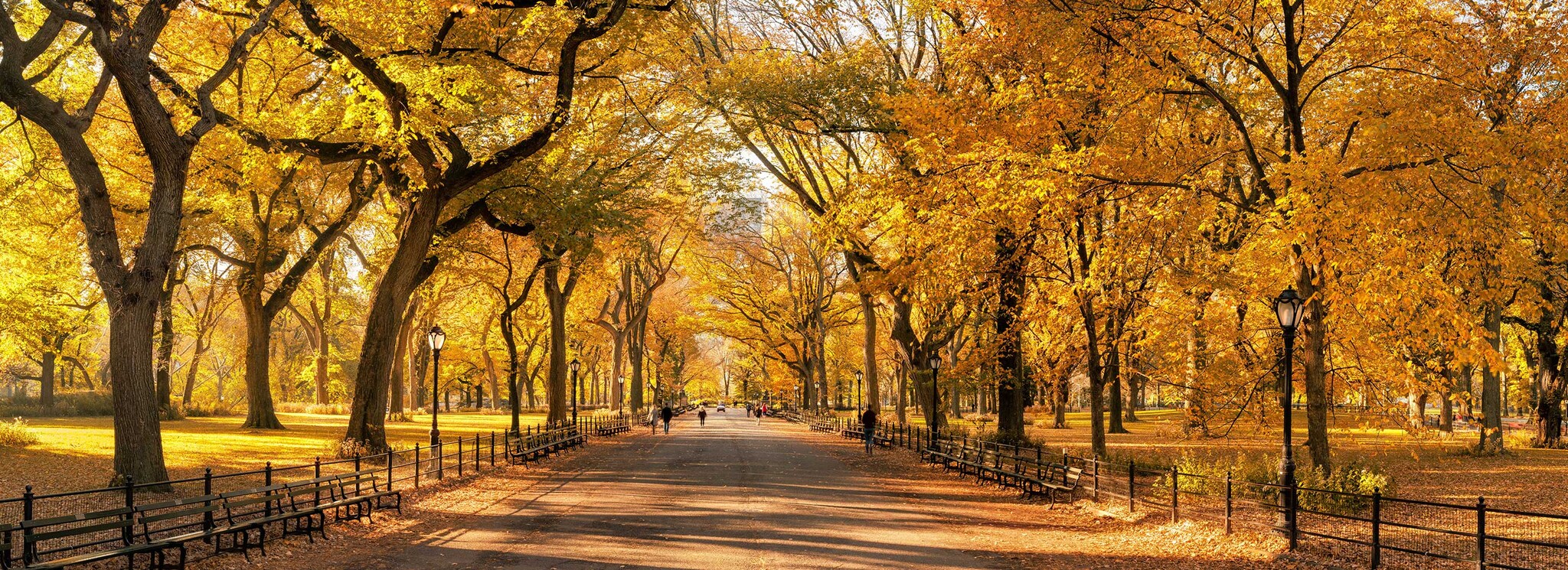 {"metadata_en_GB":{"alt-text":"Central Park in New York in Autumn season"},"metadata_en_AU":{"alt-text":"Central Park in New York in Autumn season"}}
