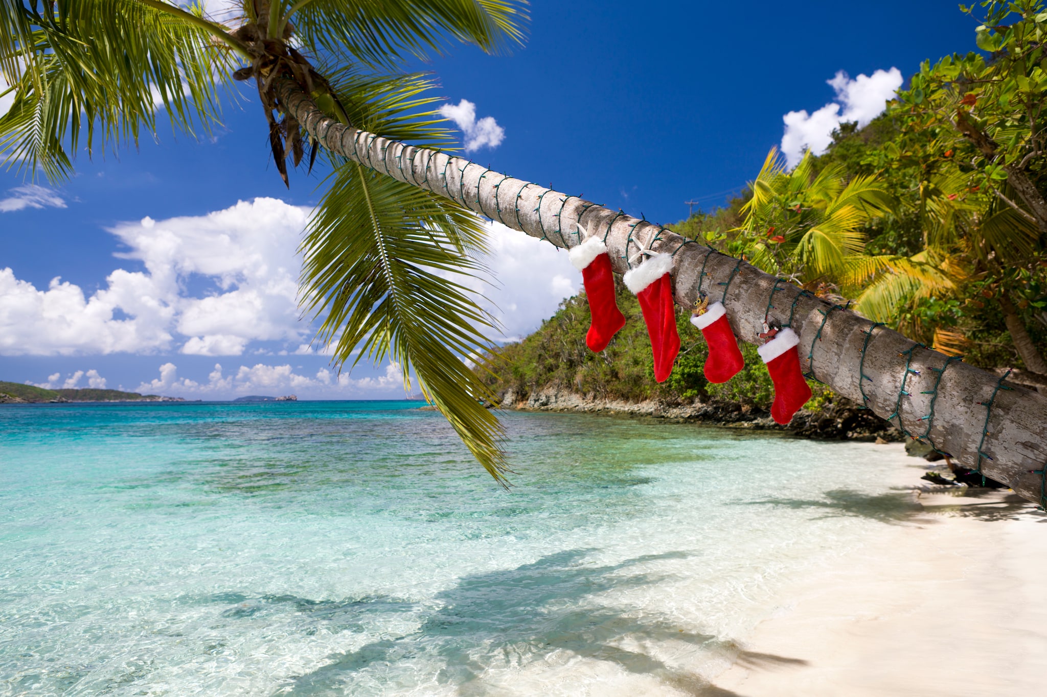 Could it be a Caribbean Christmas for you?