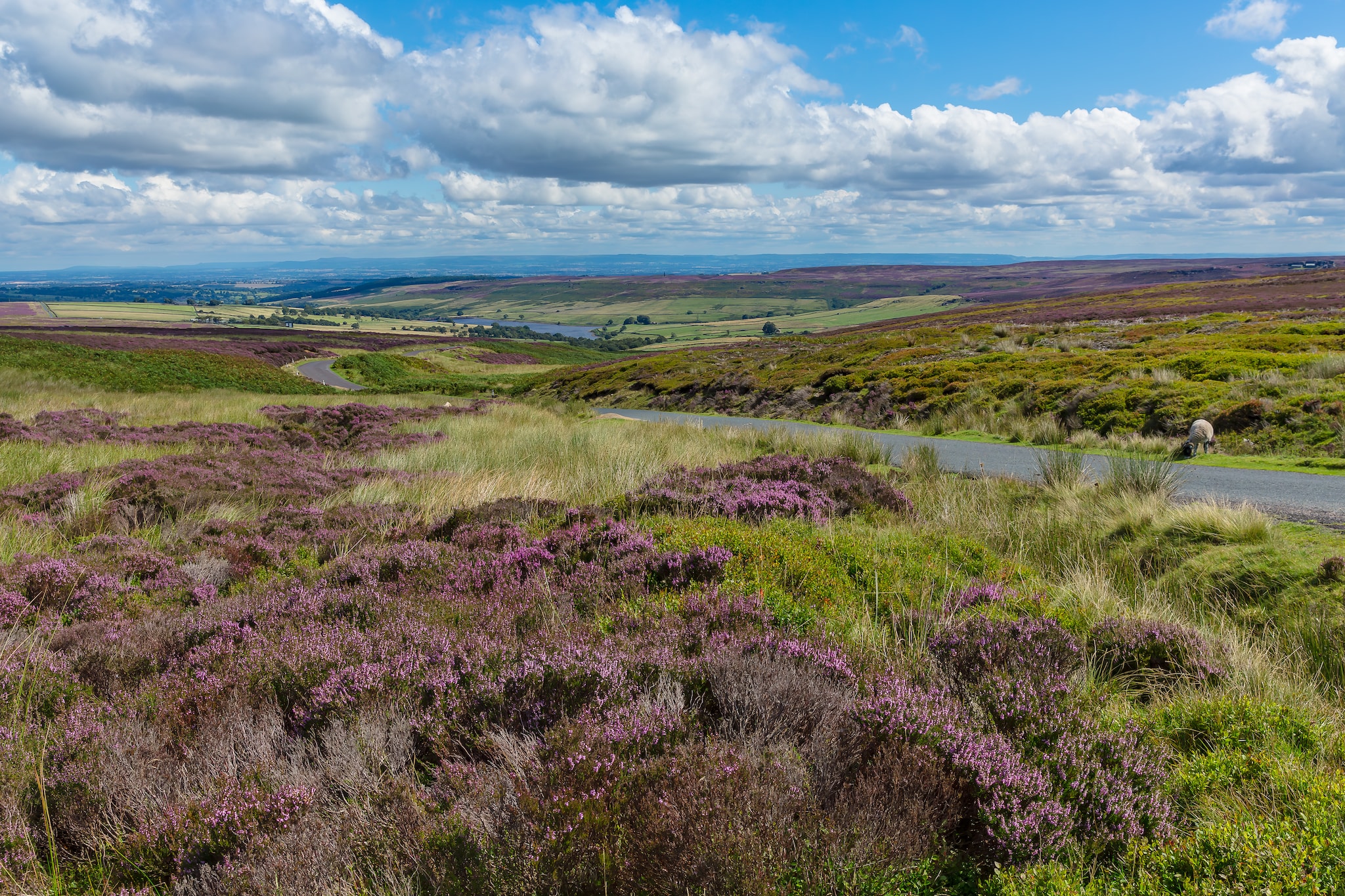 Beautiful scenery near Masham, North Yorkshire