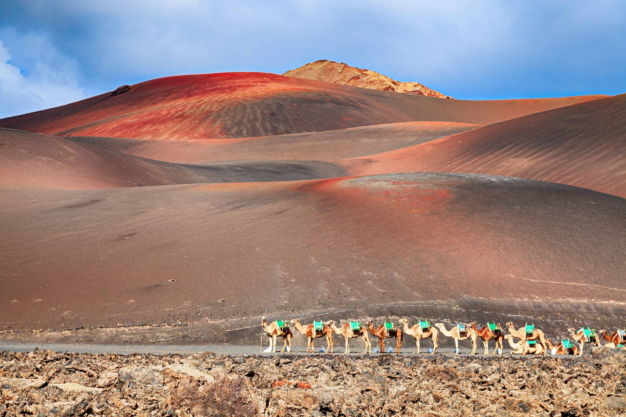 Camel Ride and Fire Mountain, Lanzarote