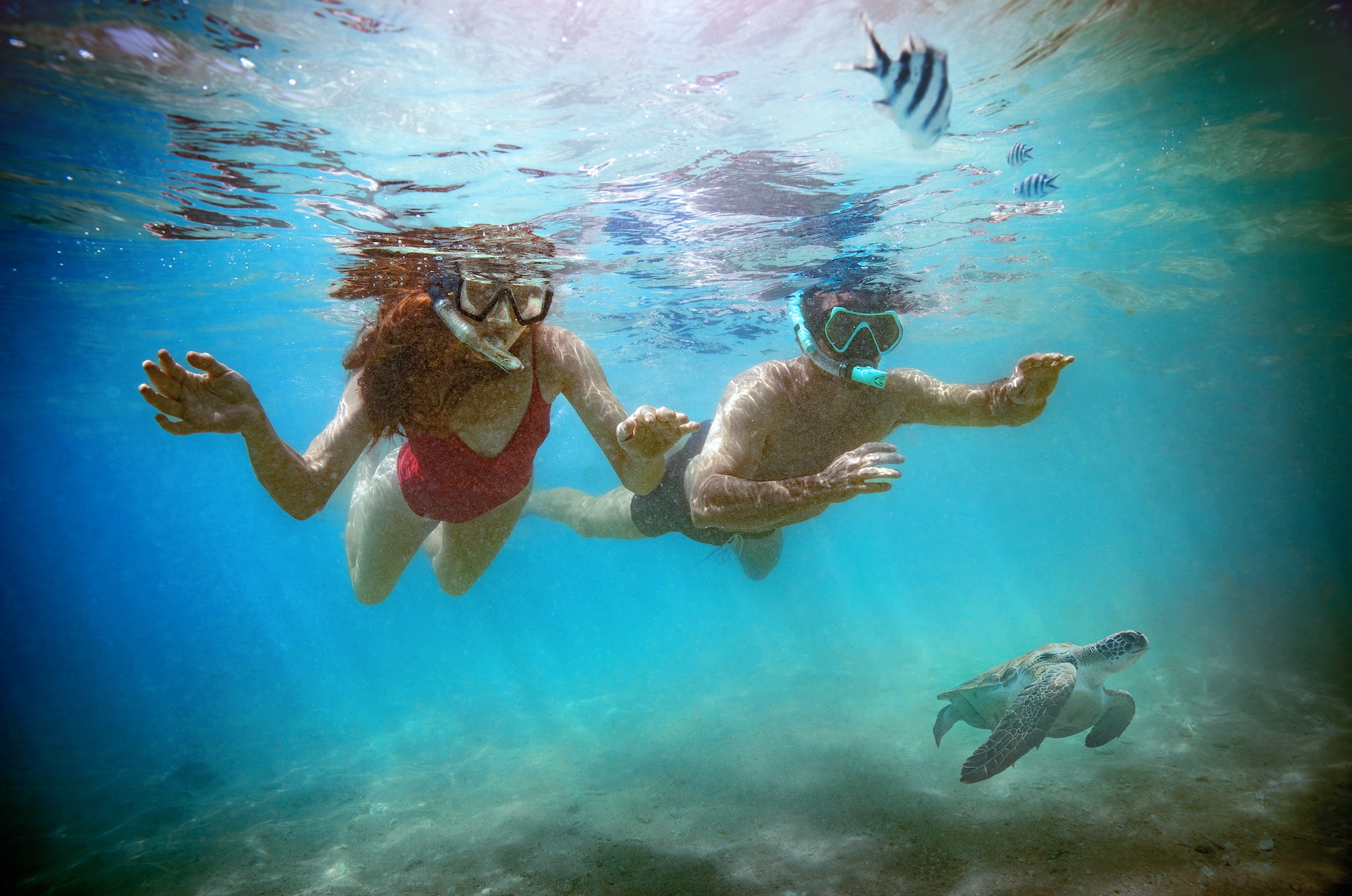 Snorkelling in Barbados