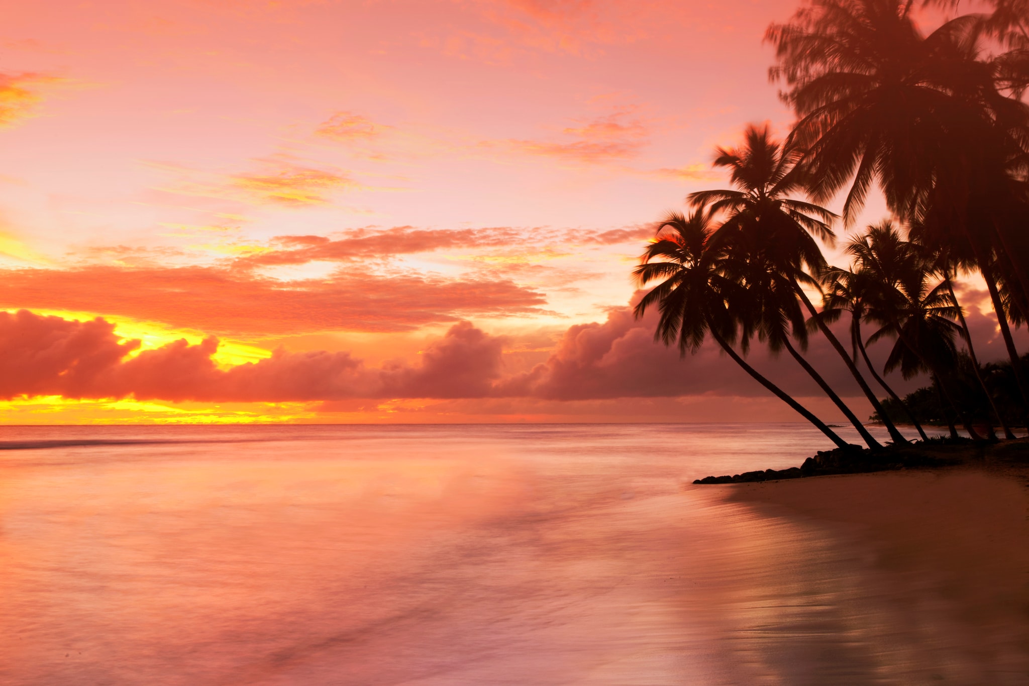 A paradise sunset in Barbados