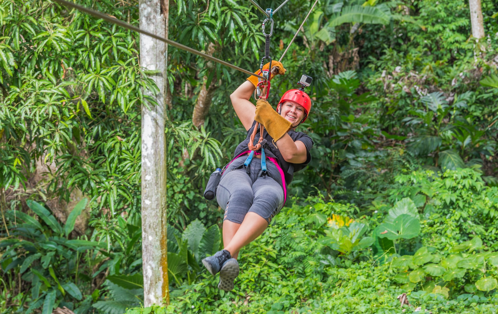 The adventurers can enjoy a thrilling zipline experience
