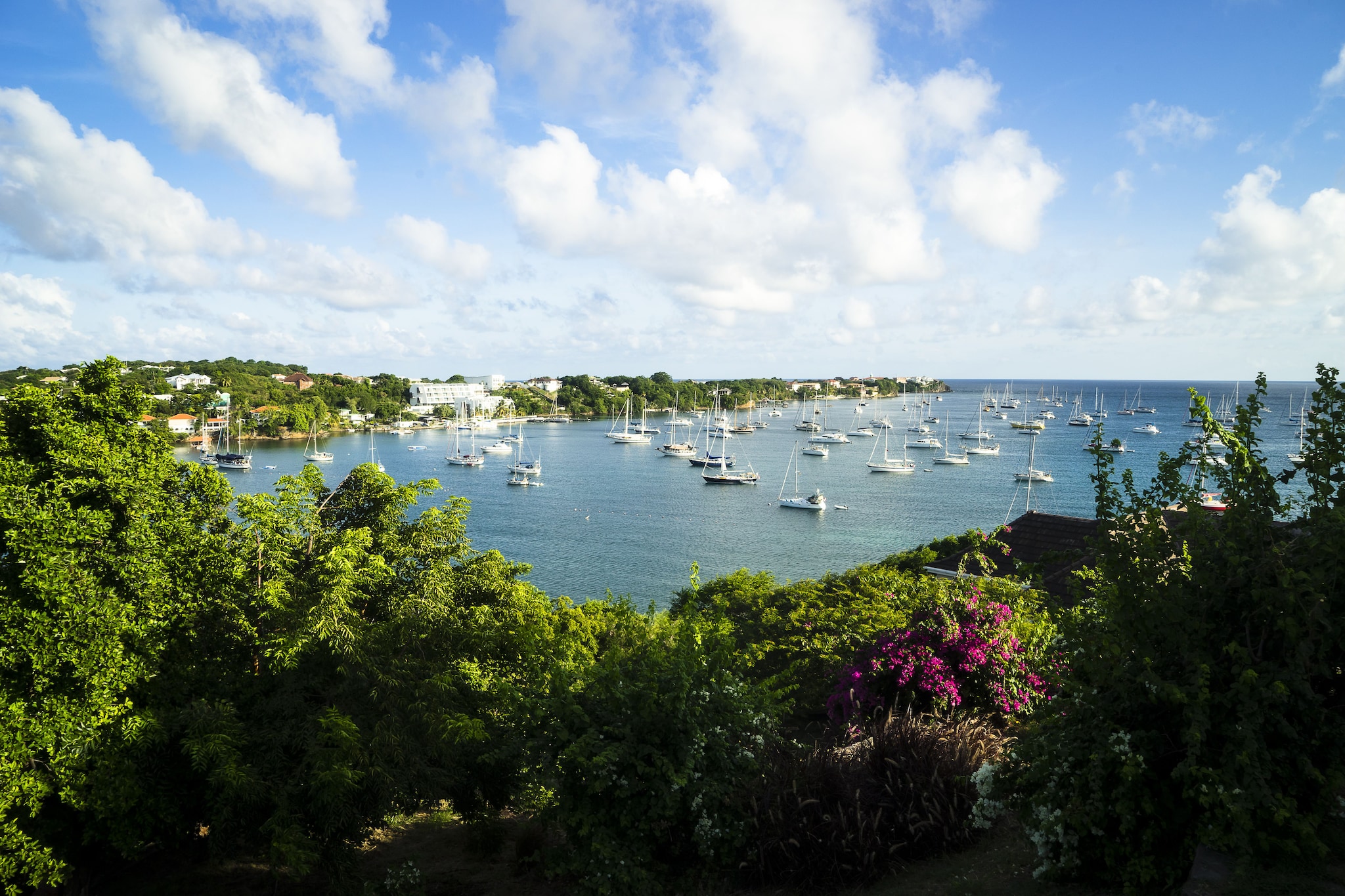 View of boats in a bay, Grenada