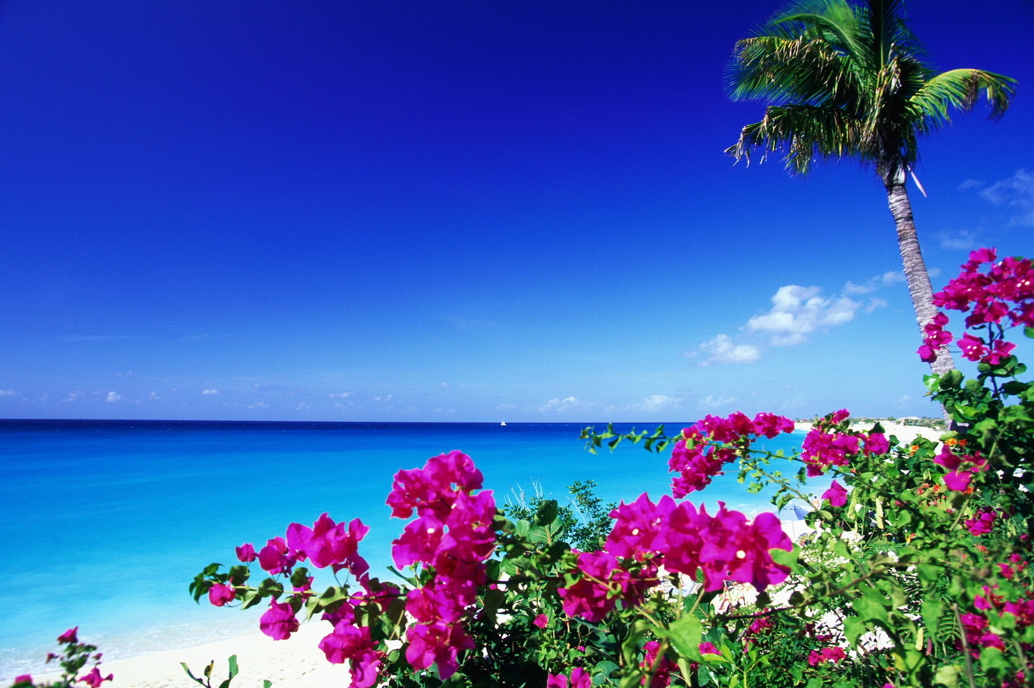 Tortola