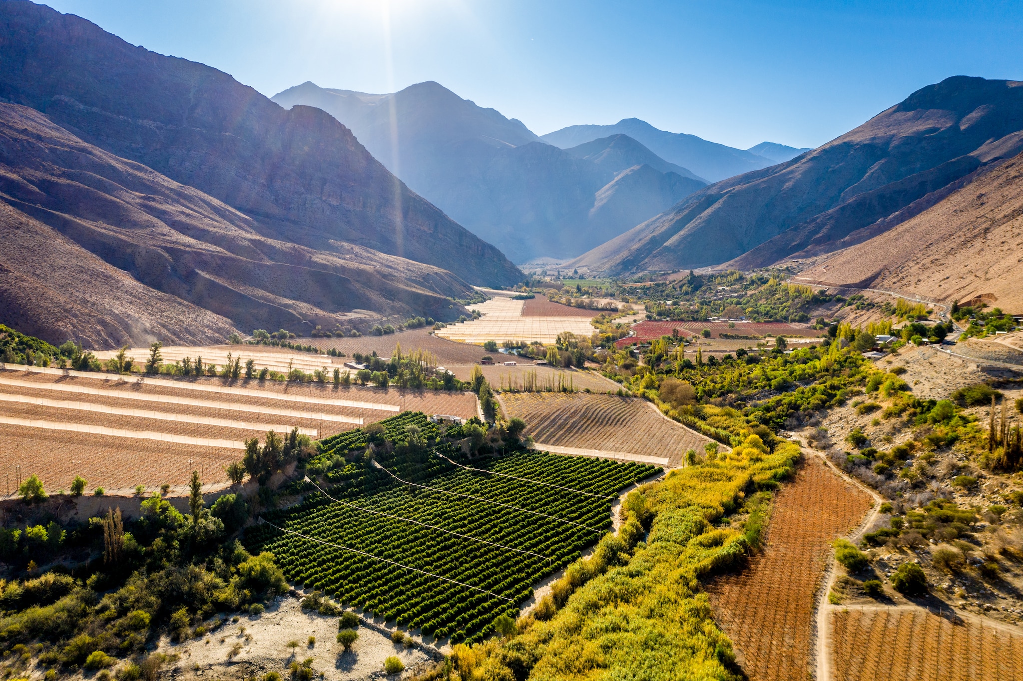 Elqui Pisco Valley, Coquimbo, Chile.