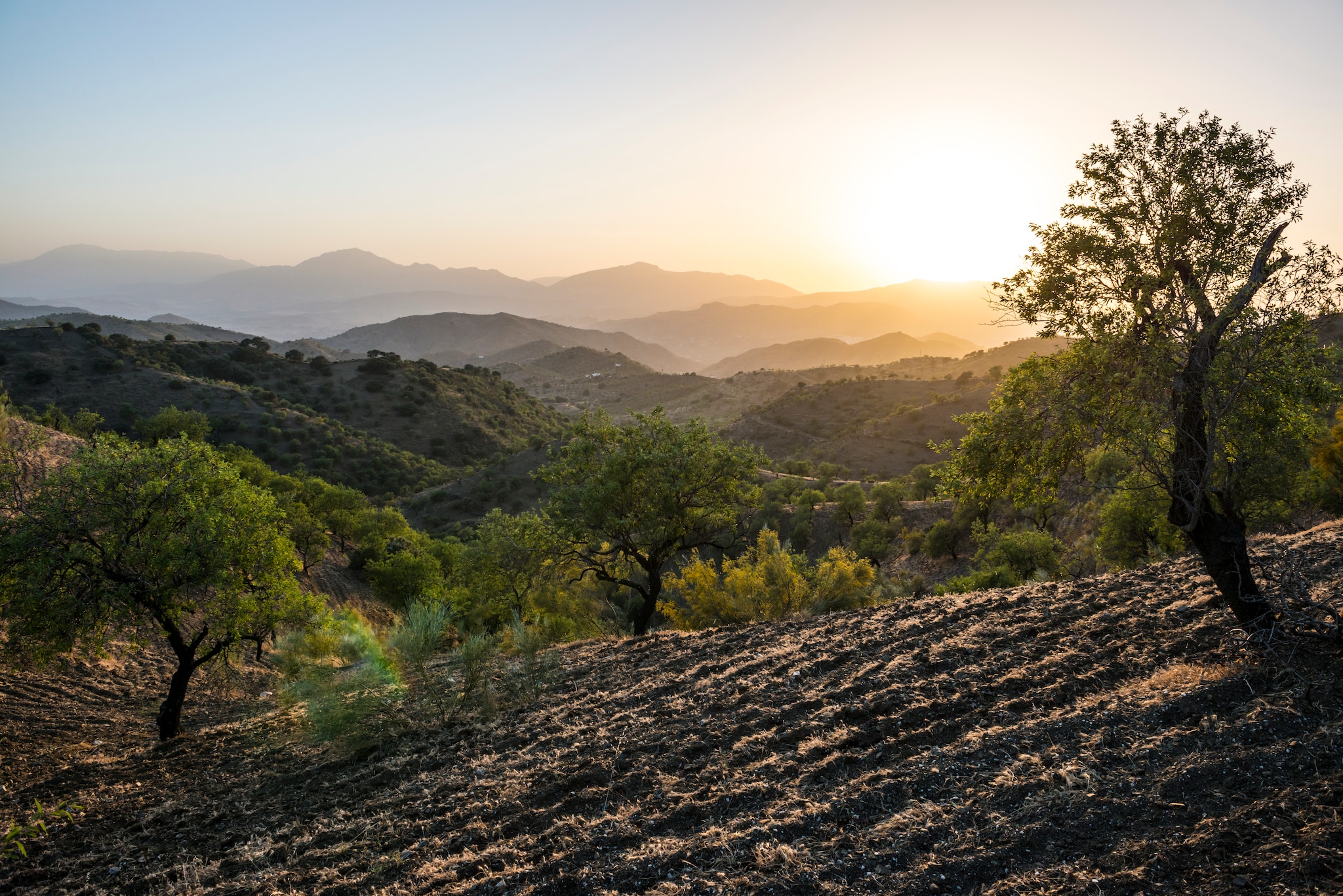 Beautiful Andalusian landscape